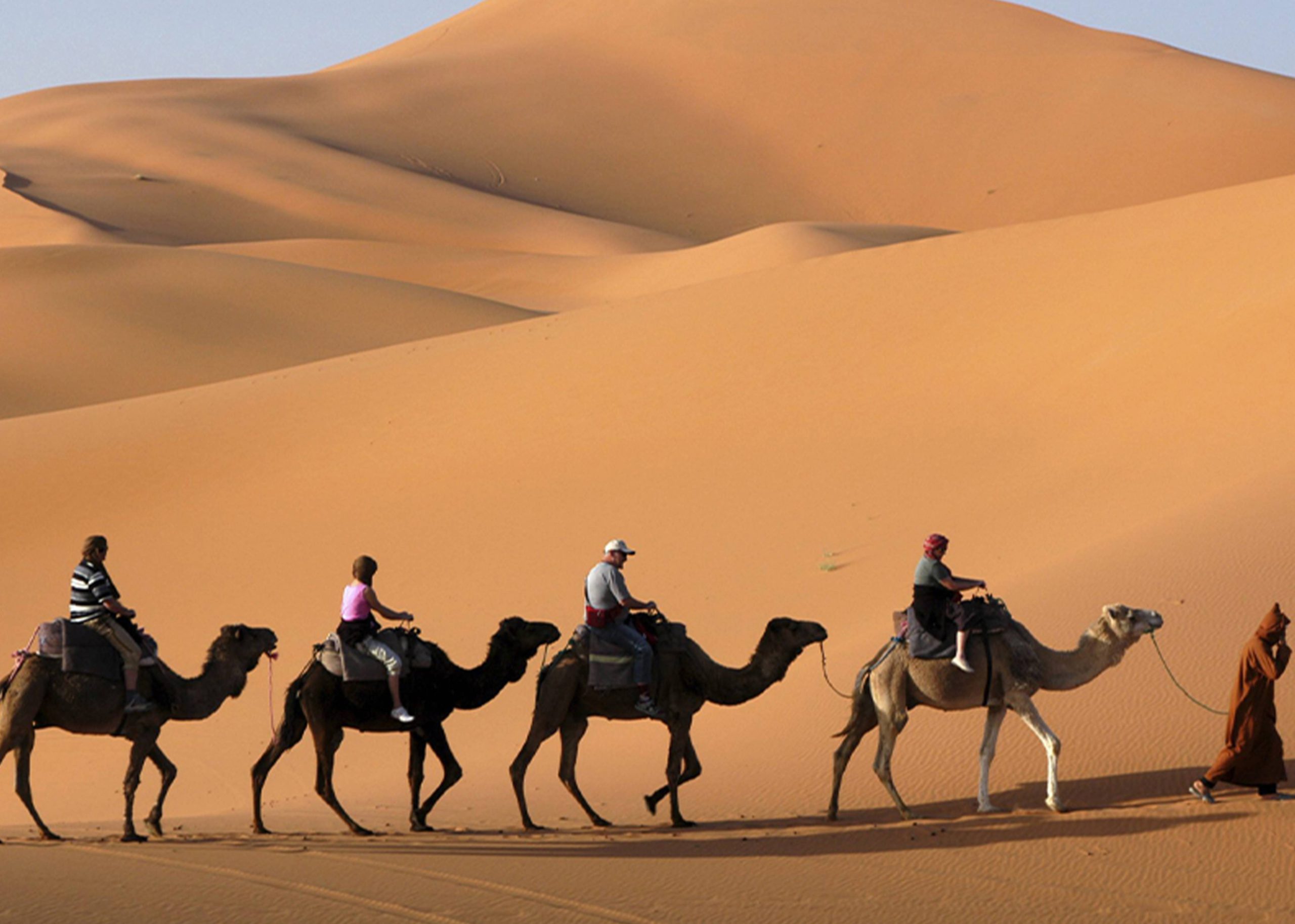 Great South & Kasbah